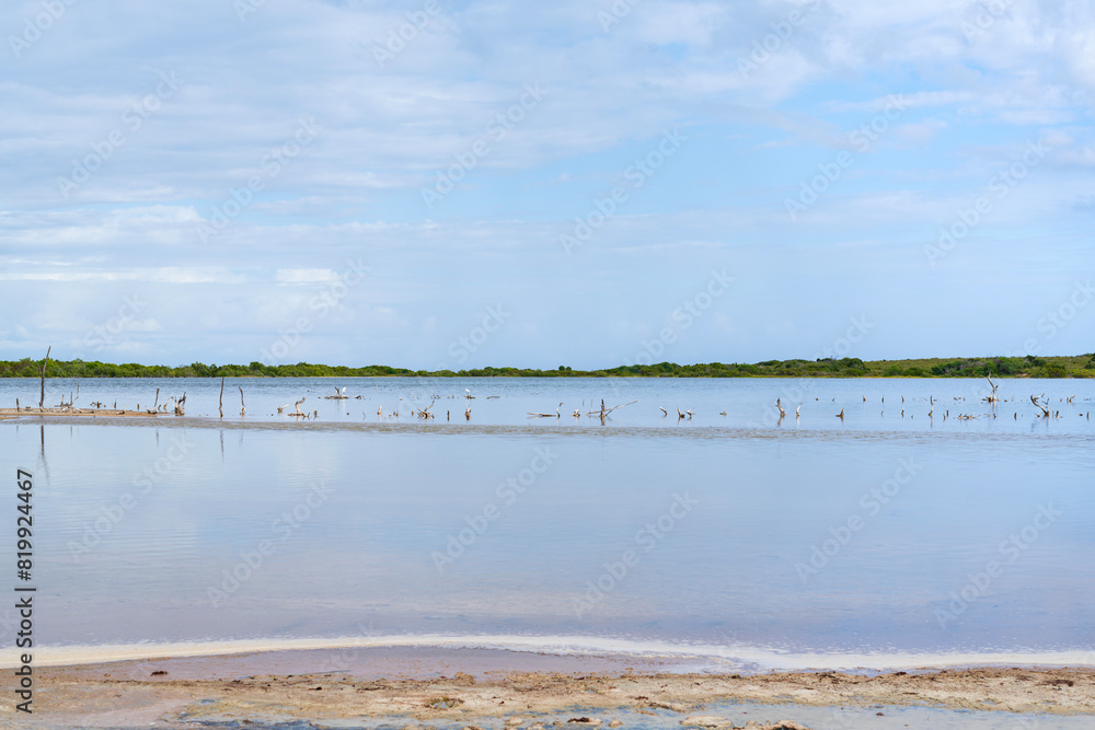 salt marsh along caribbean coast at cabo rojo wildlife refuge in southwestern puerto rico