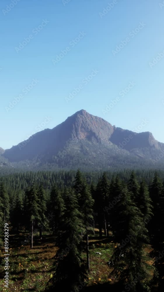 majestic mountains with forest foreground in Canada majestic mountains with forest foreground in Canada