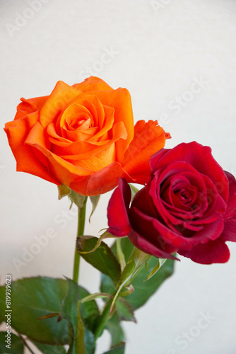 オレンジ色と赤のばら