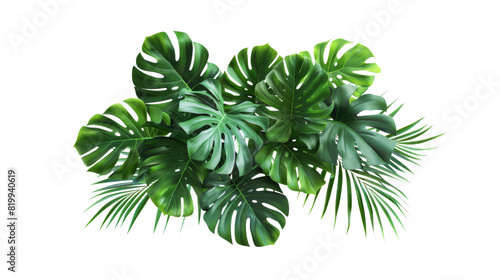 A lush plant with bright green leaves against a clean white backdrop