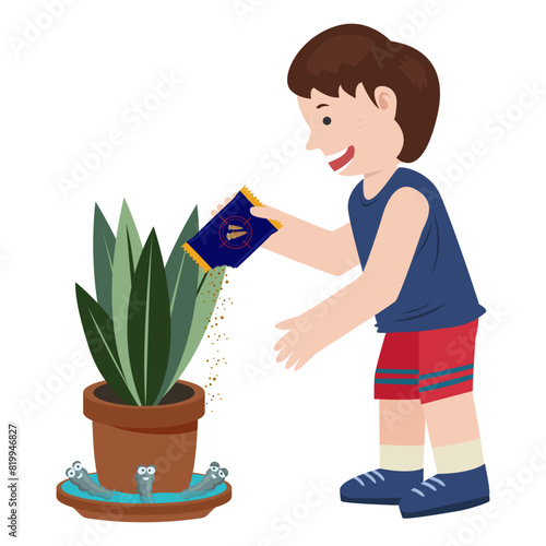 Mosquito living in plant pot. mosquito the carrier of dengue fever and zika virus.