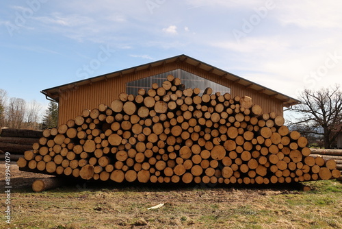 A large pile of wood is stacked against a building