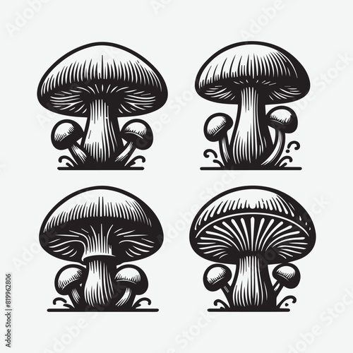 Natural Fungus Mashroom Vector Illustration silhouette Isolated on White Background