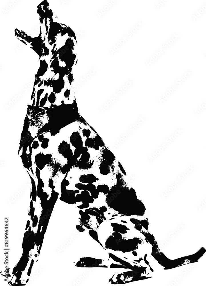 Fototapeta premium Black and white illustration sketch of a Dalmatian dog hand drawing vector isolated on white background.