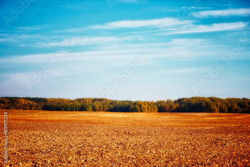 Plowed farmland stretches to a distant treeline beneath a serene sky, evoking feelings of peace and potential for growth. Use in farming ads.