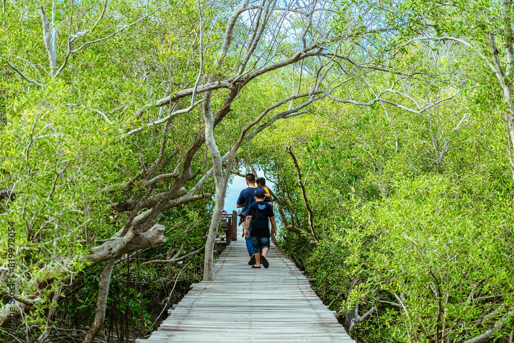 Back view of happy Asian family travel walk through on bridge wood with beautiful view of mangrove forest. Tourists refreshing and walk in the mangrove forest on vacation. Family exploring the world. Back view of happy Asian family travel walk through on bridge wood with beautiful view of mangrove forest. Tourists refreshing and walk in the mangrove forest on vacation. Family exploring the world.