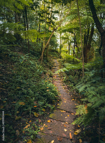 Way to Siriphum Waterfall in Chiang Mai, Thailand. photo