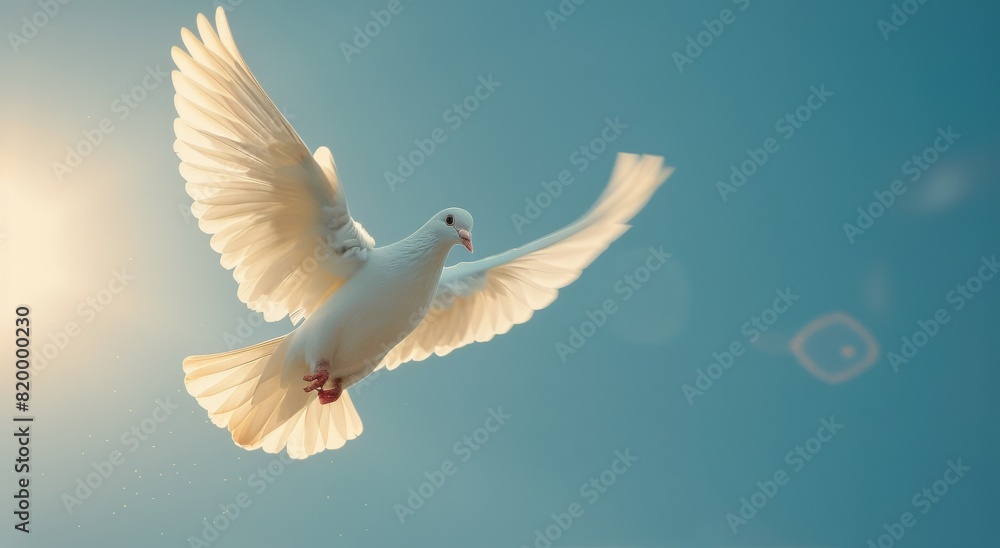 Obraz premium White Bird Flying Through Blue Sky
