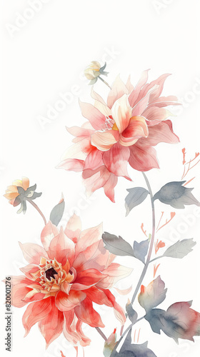 painting watercolor flower background illustration floral nature. Red dahlias flower background for greeting cards weddings or birthdays. Copy space. 