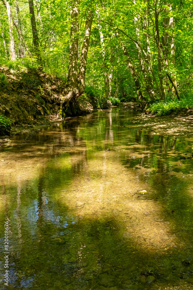 Obraz premium Natur am Höllbach in Oberbayern III