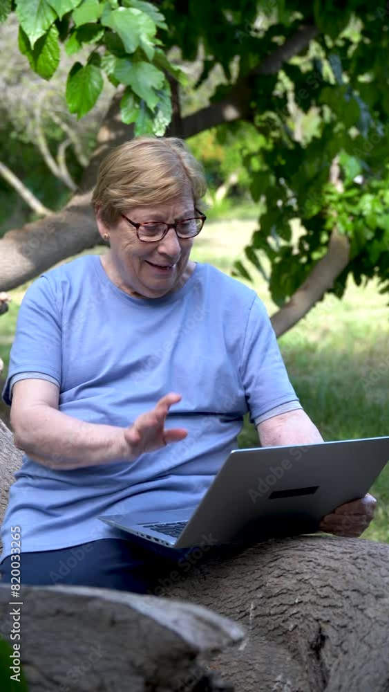 Senior woman in the park, makes a video call with the laptop. Senior woman in the park, makes a video call with the laptop.