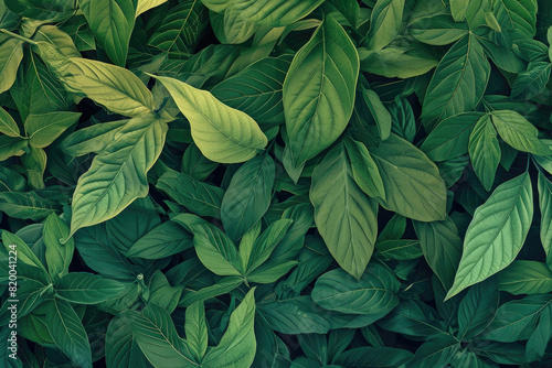 Green leaf texture fills the background in a close-up view