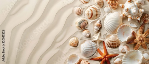 Seashell collection, top view, summer souvenirs, copy space, natural, realistic, overlay, sandy backdrop