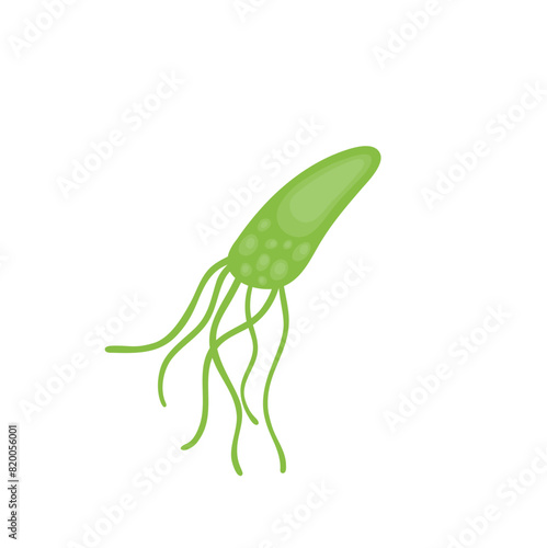 Helicobacter Pylori Vektor Illustration 