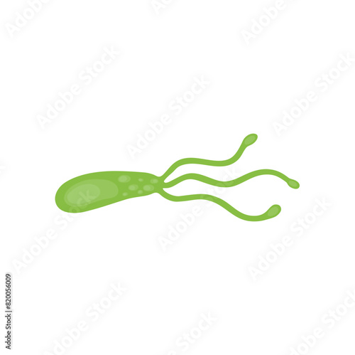 Helicobacter Pylori Vektor Illustration 