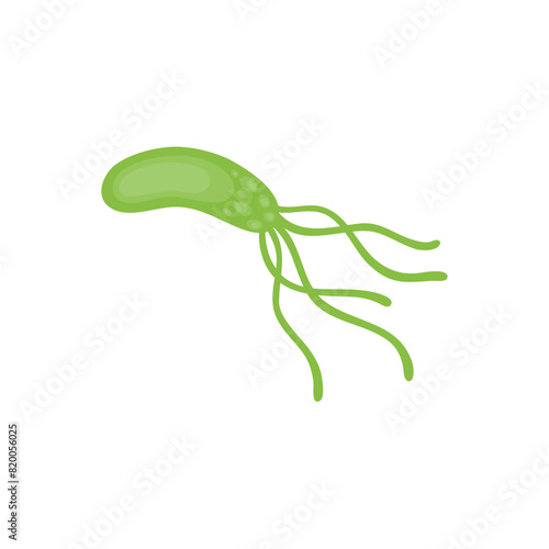 Helicobacter Pylori Vektor Illustration 