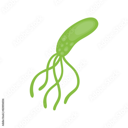 Helicobacter Pylori Vektor Illustration 