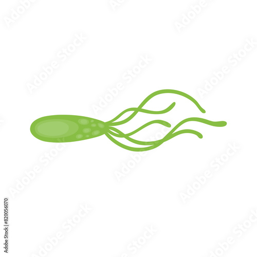 Helicobacter Pylori Vektor Illustration 