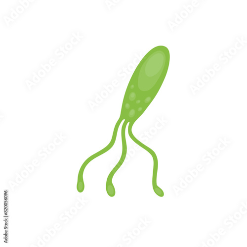 Helicobacter Pylori Vektor Illustration 
