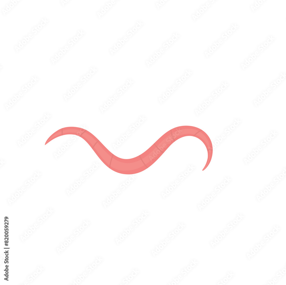 Pinworm Vektor Illustration Pinworm Vektor Illustration