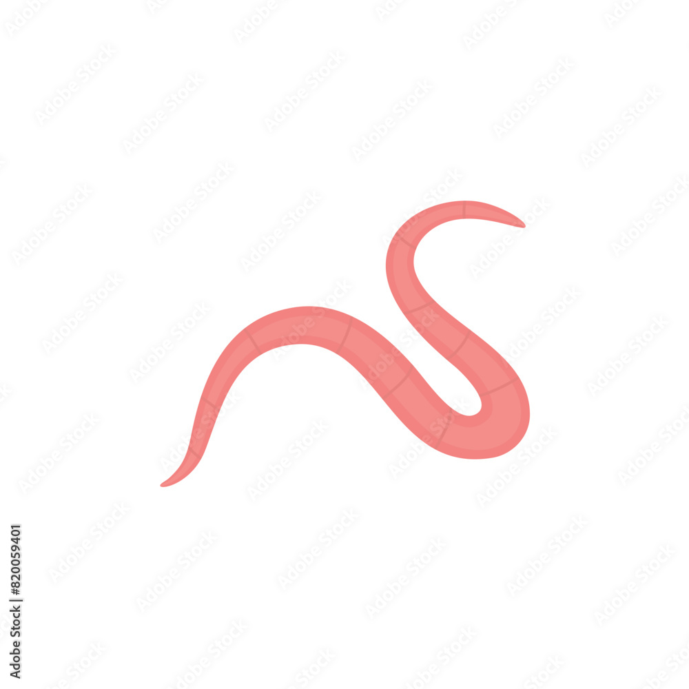 Pinworm Vektor Illustration Pinworm Vektor Illustration