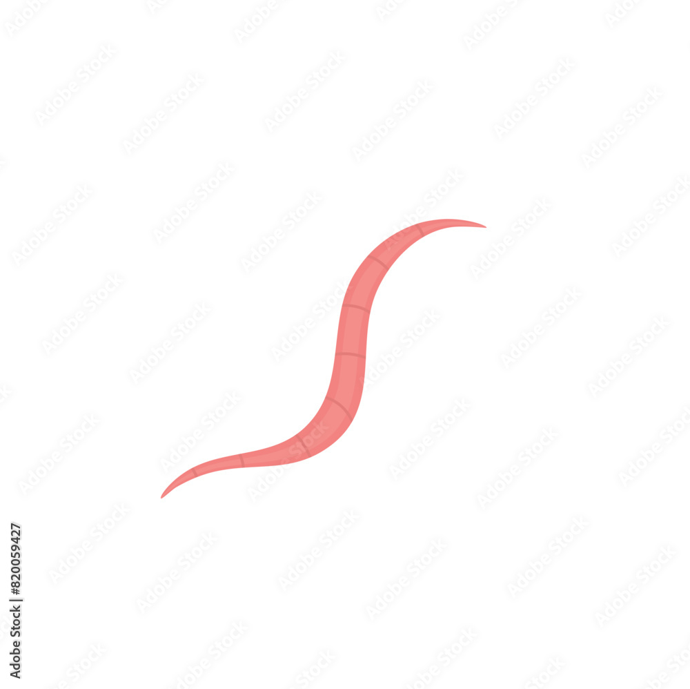 Pinworm Vektor Illustration Pinworm Vektor Illustration