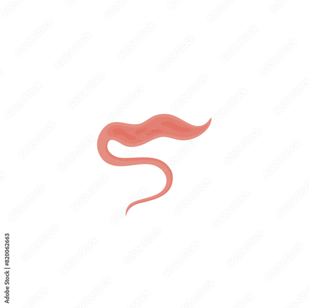 Whipworm Vektor Illustration Whipworm Vektor Illustration