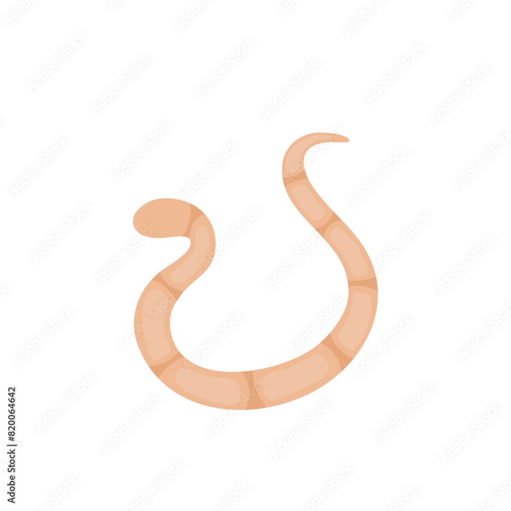 Parasites Worm in Domestic Animals Tapeworm Parasites Worm in Domestic Animals Tapeworm