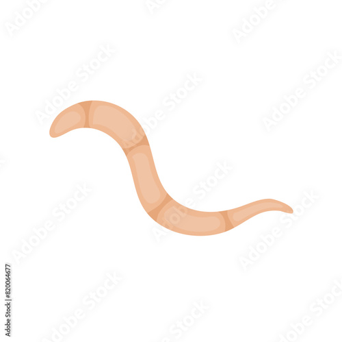 Parasites Worm in Domestic Animals Tapeworm 