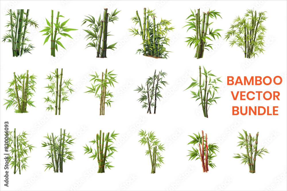 Obraz premium A cluster of bamboo with green Leaves and stems against a white background. BAMBOO VECTOR. 