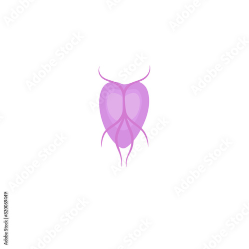 Giardia Parasites Illustration 