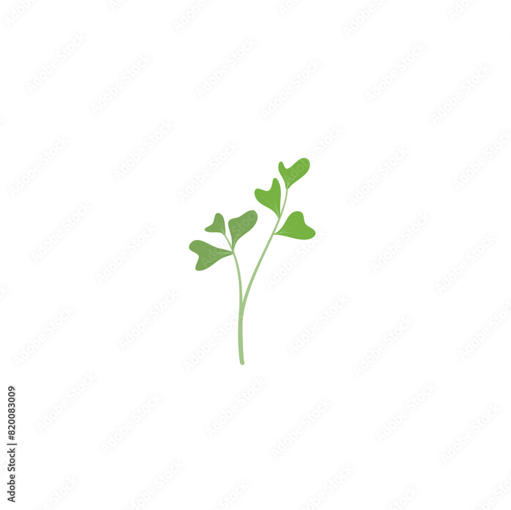 Microgreen Plant Vektor Illustration Microgreen Plant Vektor Illustration