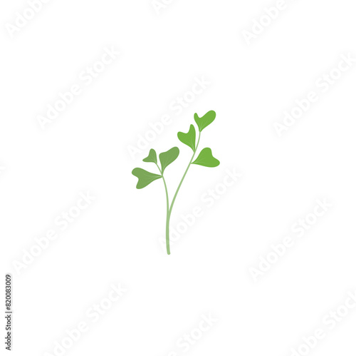 Microgreen Plant  Vektor Illustration 