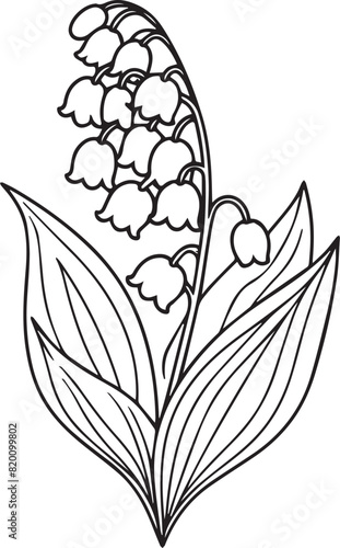 Lily of the valley flower drawing illustration. Black and white tattoo with lily of the valley, line art on white backgrounds, stock outline lily valley flower, freesh lily of the vally flower drawin