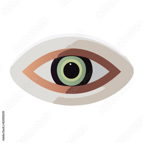 light brown almond eyeball shape with hints of green