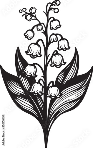 Birth month flower lilly of the valley line art vector illustrations Lily of The Valley May birth flower black ink sketch. Modern minimalist hand drawn design for logo, lilly or the valley wall art