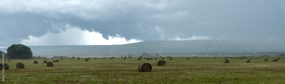 Blue-gray rain clouds fill the sky above a farm field that has many round bales of hay.  The distant rain is falling onto a large hill.
