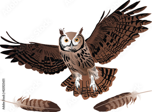 brown owl in flight isolated on white