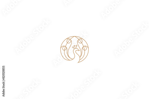 Luxurious peacock logo with line art design style