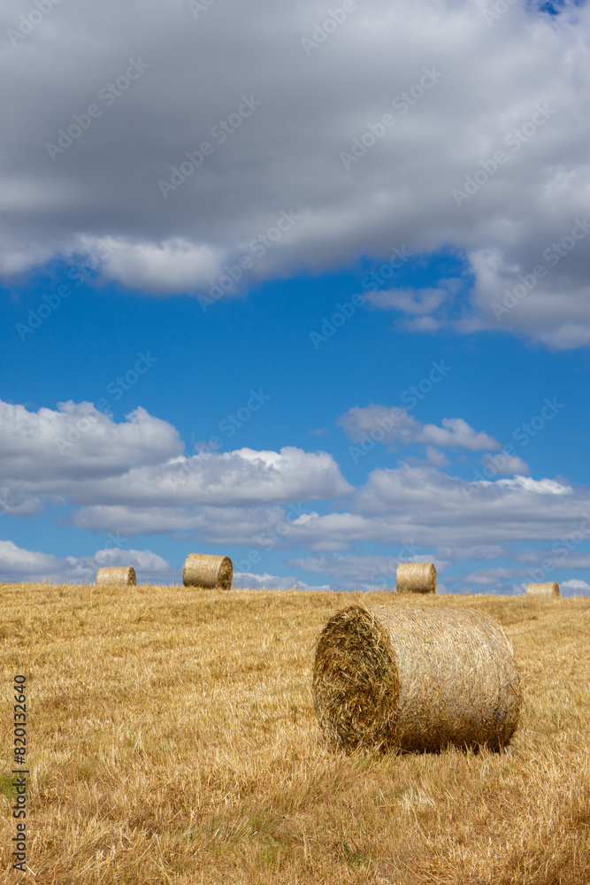 Hay bales rolled up in a scenic Alentejo field under a cloudy afternoon sky, Portugal. Serene rural landscape, perfect for agricultural and nature-themed projects. Hay bales rolled up in a scenic Alentejo field under a cloudy afternoon sky, Portugal. Serene rural landscape, perfect for agricultural and nature-themed projects.