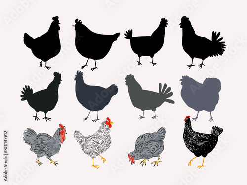 Set of chicken, rooster, hen, poultry farm animal set collection hand drawn vector illustration. Livestock pet domestic animal.