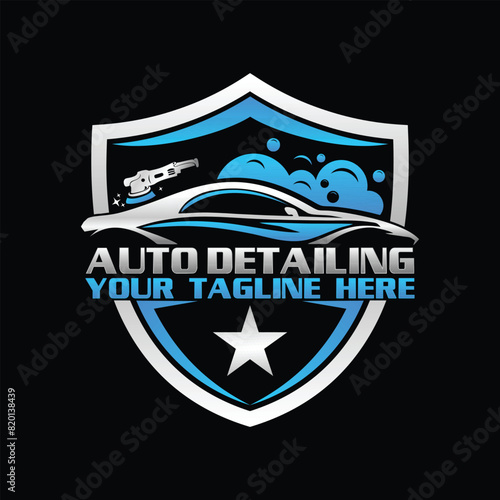 Car wash and Detailing vector logo template