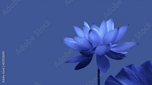 Single flower of blue lotus on purple background with copy space for text. Meditation, serenity and spirituality concept. Beautiful floral frame with space for your own design.