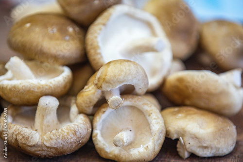 Fresh shitake or shiitake mushrooms (Lentinula edodes) in selective focus and fine details photo