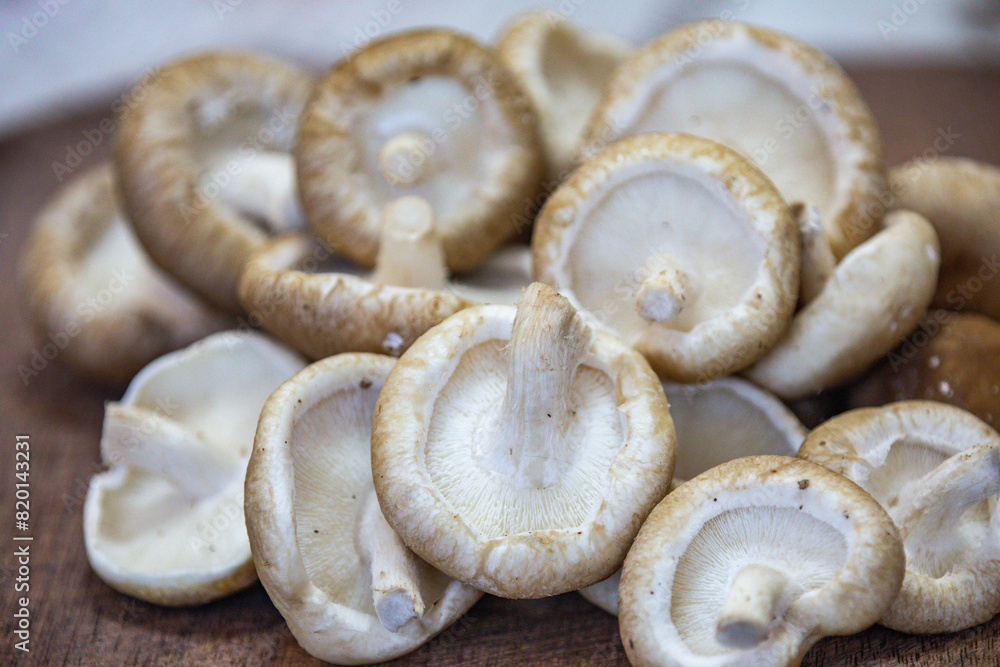 Fresh shitake or shiitake mushrooms (Lentinula edodes) in selective focus and fine details Fresh shitake or shiitake mushrooms (Lentinula edodes) in selective focus and fine details