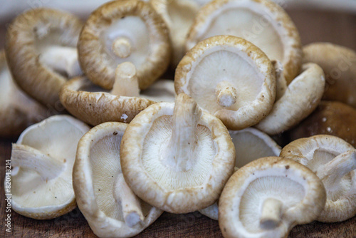 Fresh shitake or shiitake mushrooms (Lentinula edodes) in selective focus and fine details