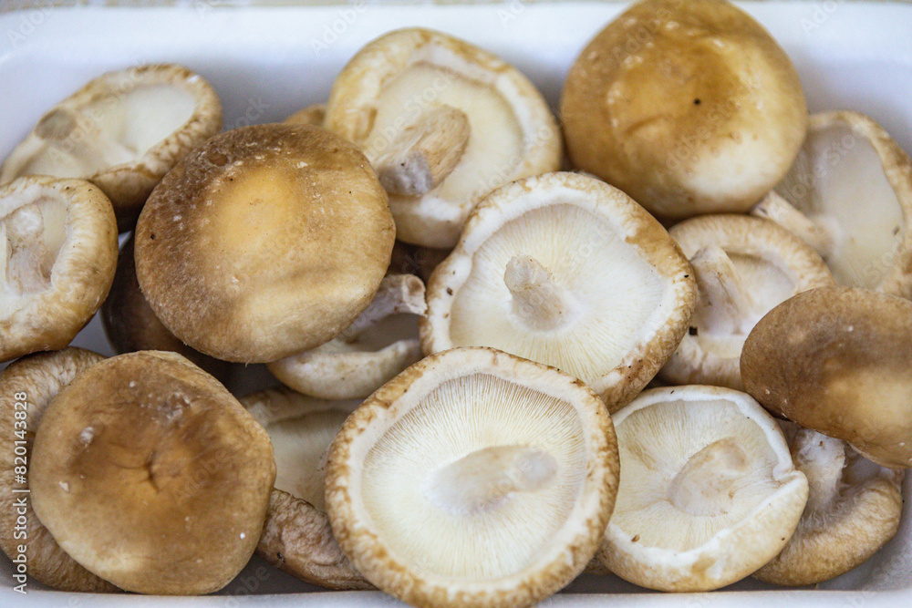 Fresh shitake or shiitake mushrooms (Lentinula edodes) in selective focus and fine details Fresh shitake or shiitake mushrooms (Lentinula edodes) in selective focus and fine details