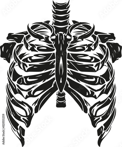 illustration of rib cage bones, ribs for print on white background
 photo