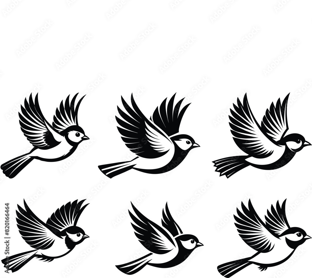 Set of bird vector silhouette Set of bird vector silhouette