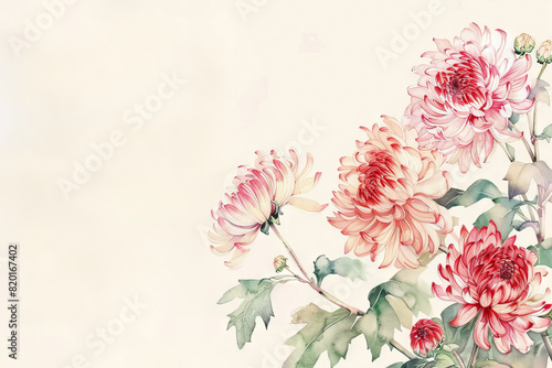 painting watercolor flower background illustration floral nature. Red gladioli flower background for greeting cards weddings or birthdays. Copy space. 